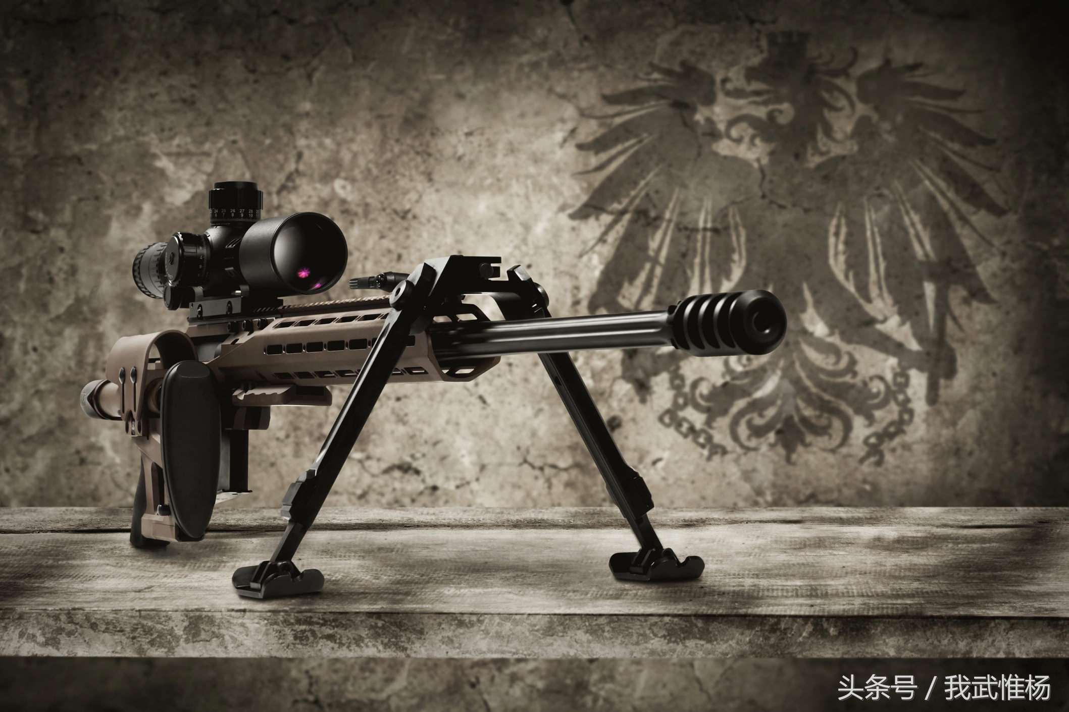 世界十大禁用狙击步枪图片