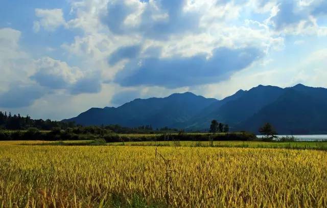 休宁横江国家湿地公园