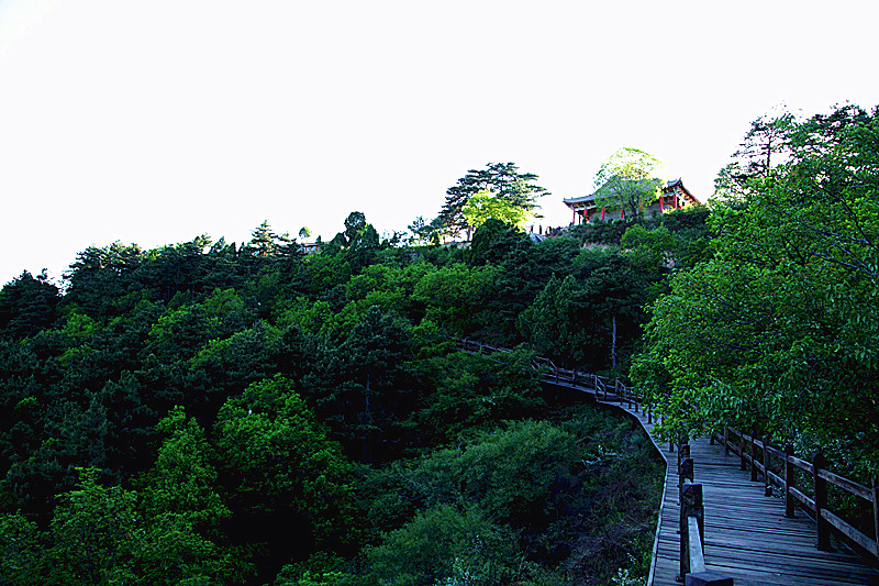 陝西名寺古剎延安無量山蓮雲寺五松抱柏