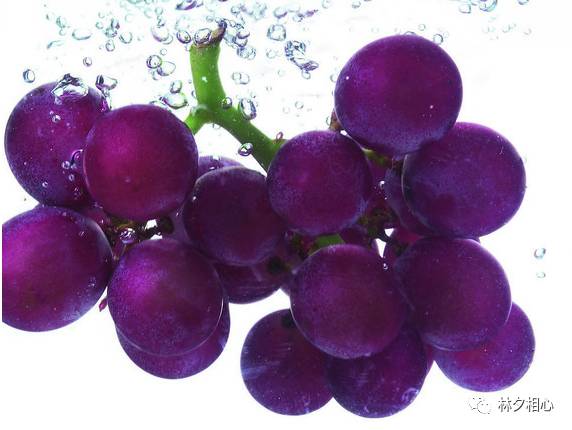 紫色葡萄仅次于蓝莓及紫色胡萝卜的富含花青素水果,所含的类黄酮也是