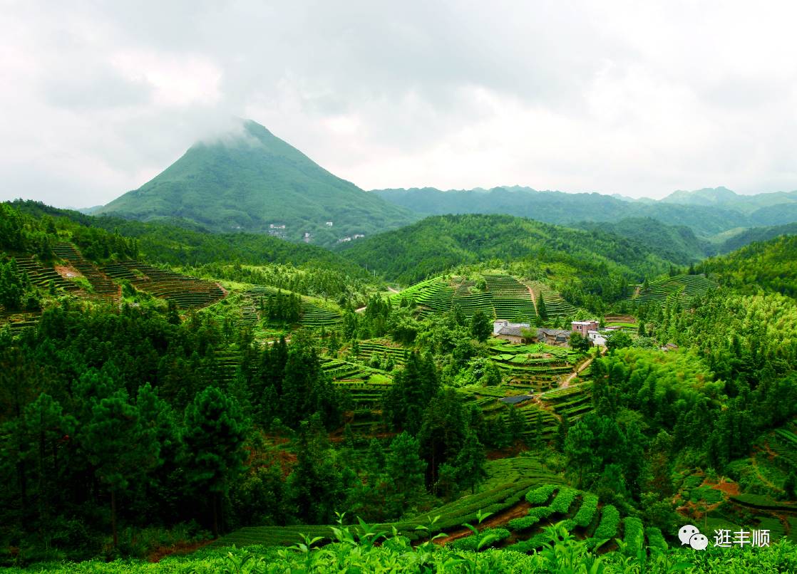 八乡山地处粤东莲花山脉中段,位于丰顺县西南部,南接揭阳,西连五华,是