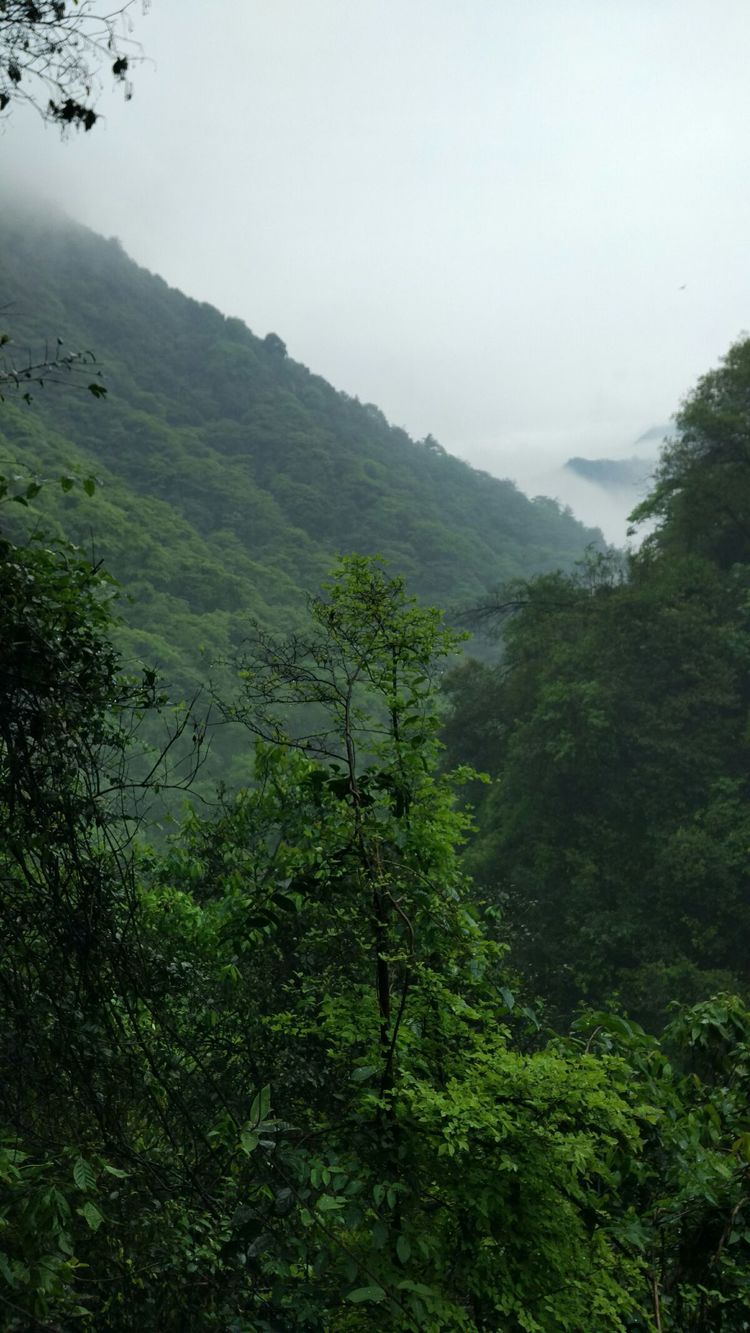 江西神雾山风景区图片