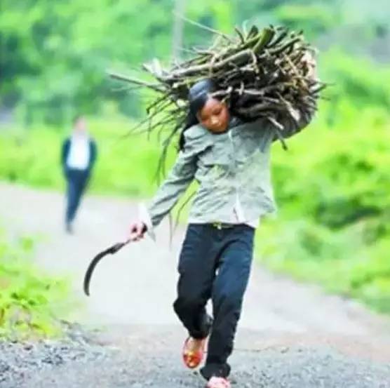 7岁练就一手好刀法—上树砍柴