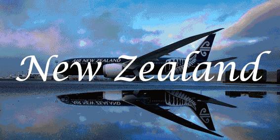 【飞克技术移民原创】新西兰雇主担保技术移民