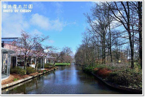 走進世界最大的鬱金香公園:庫肯霍夫公園