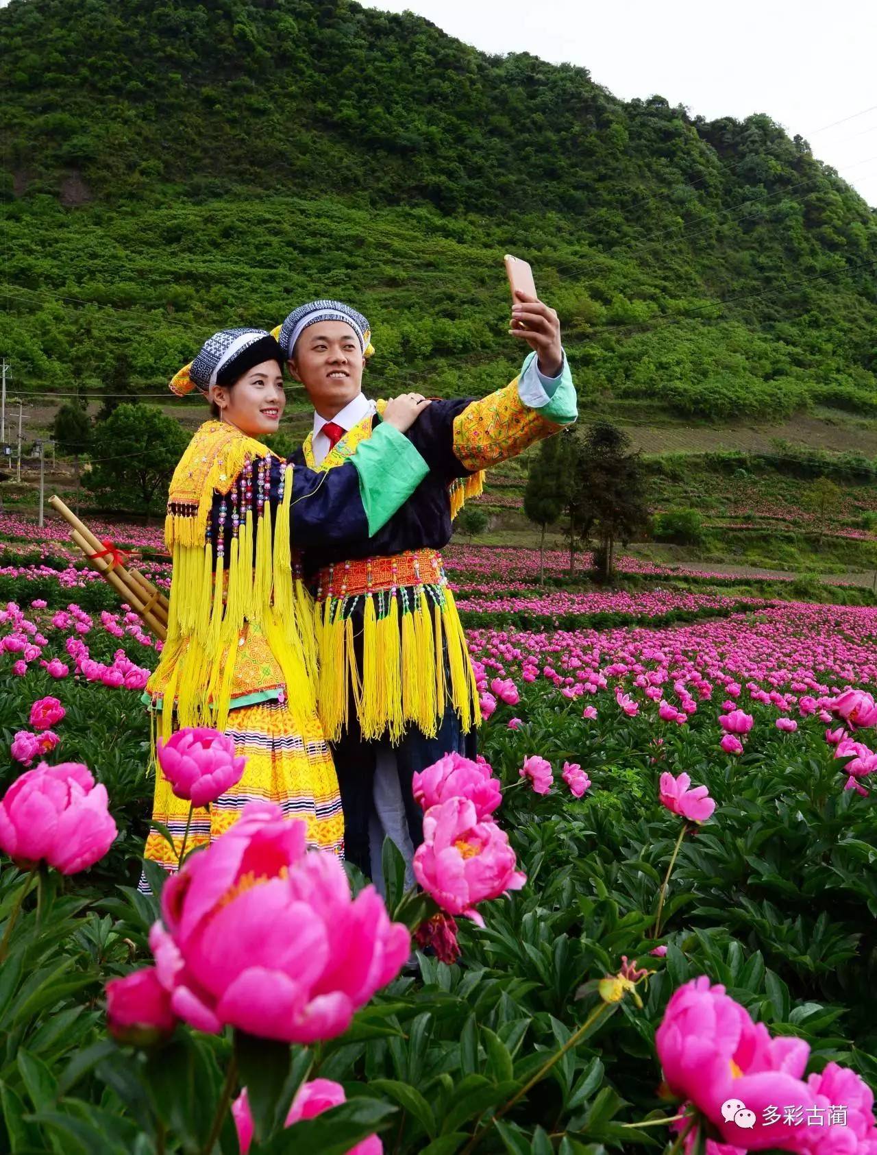 古蔺酒乡花谷图片