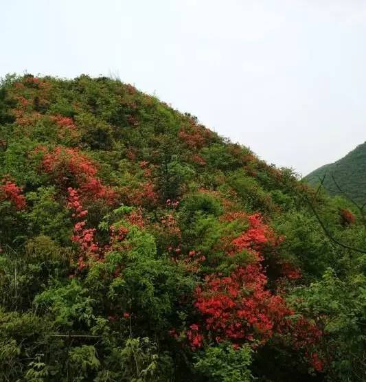 中国大妈游双牌磨子岭 看到这风景秒变少女