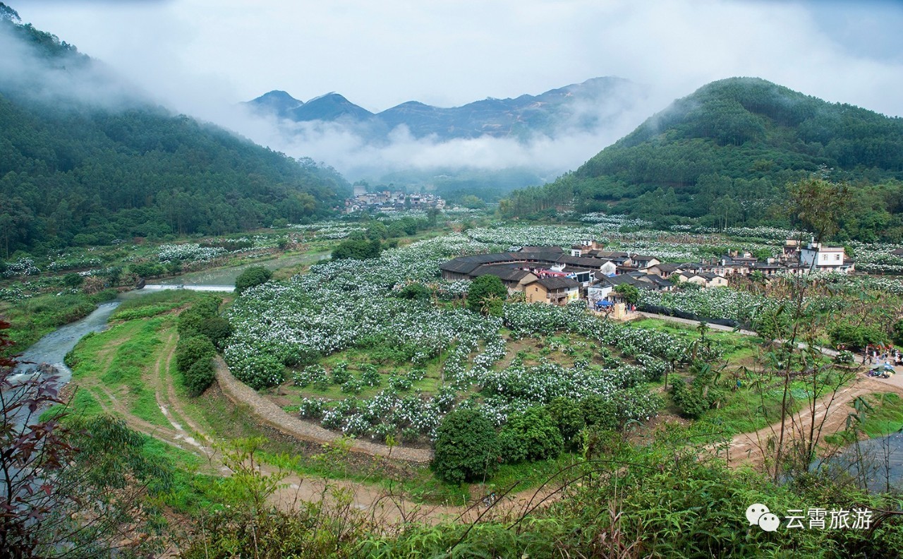 云霄宝树村规划图图片