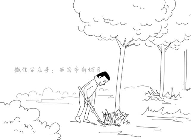 简笔画植物松土图片