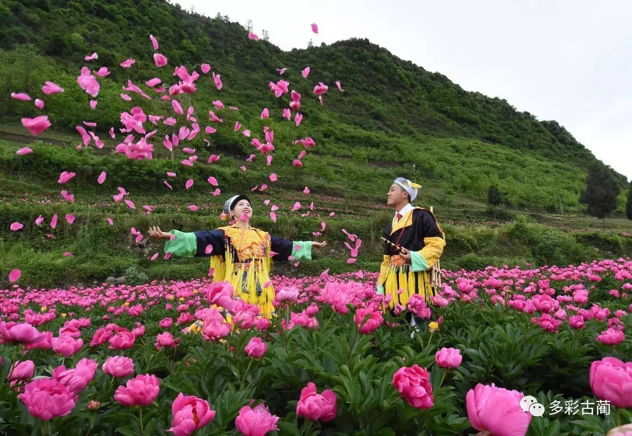 古蔺酒香花谷图片