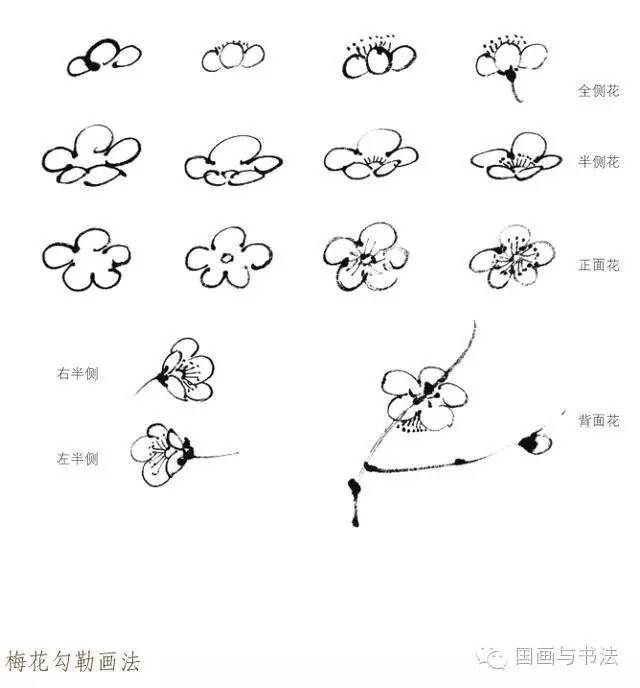 国画入门画法