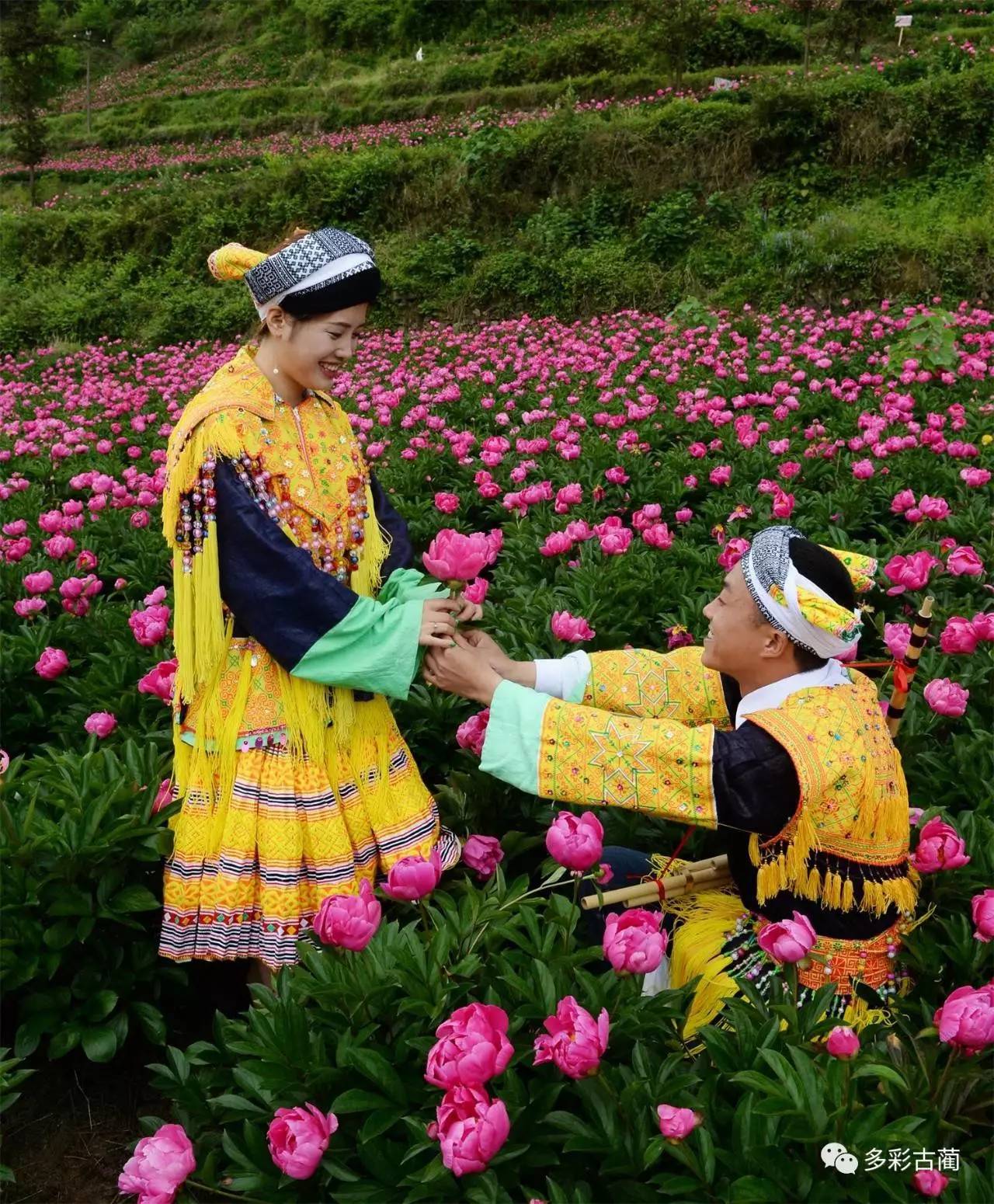 古蔺酒香花谷在哪儿图片