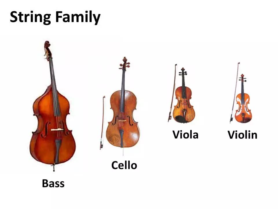 有小提琴(violin),中提琴(viola),大提琴(cello)和低音提琴(bass)所以