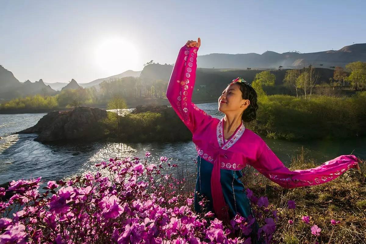 金達萊花醉綠野紅顏起舞笑春風