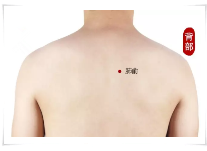 背部艾灸的位置图图片