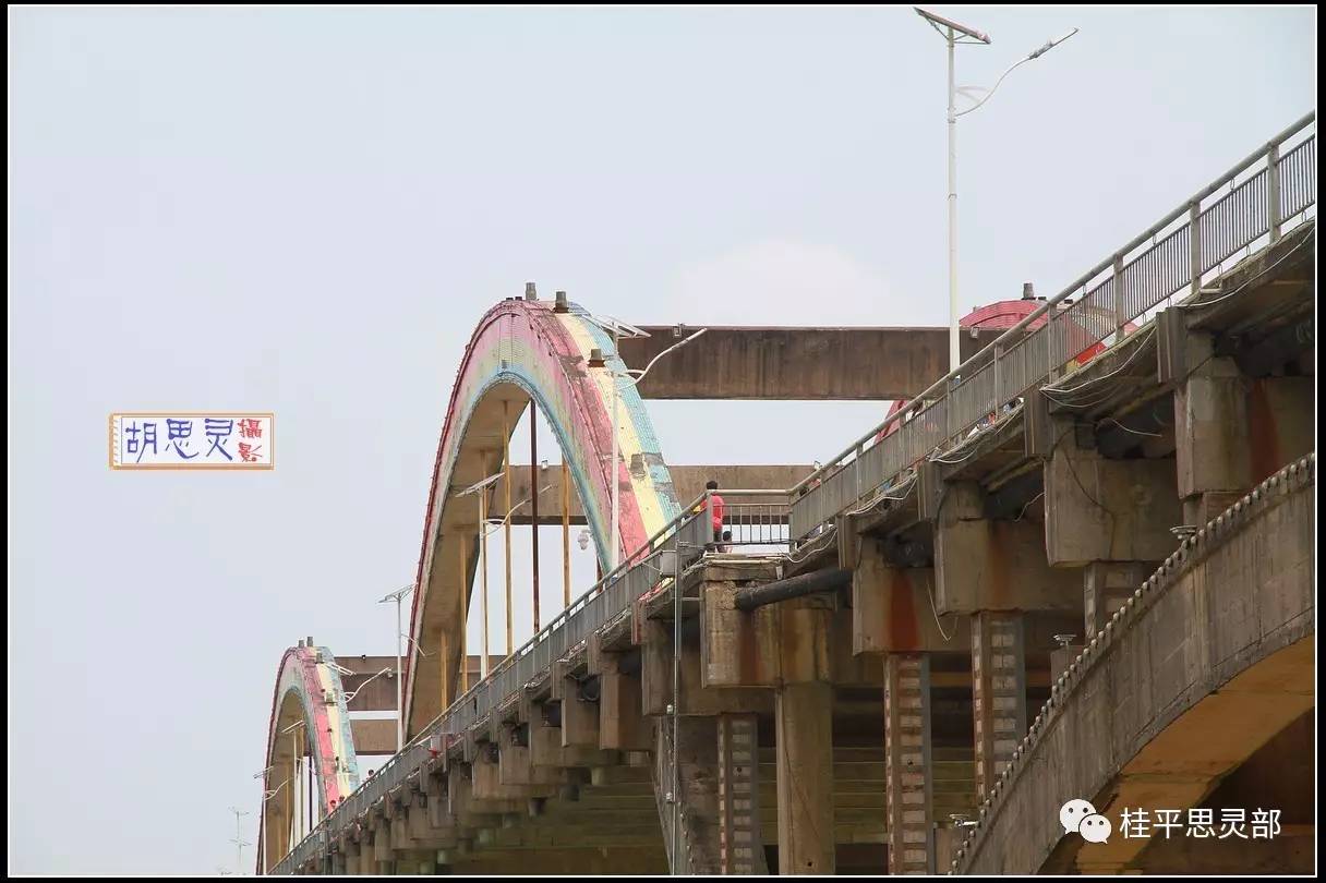 别让桂平北江桥变成了广州海珠桥,频频上演自杀秀