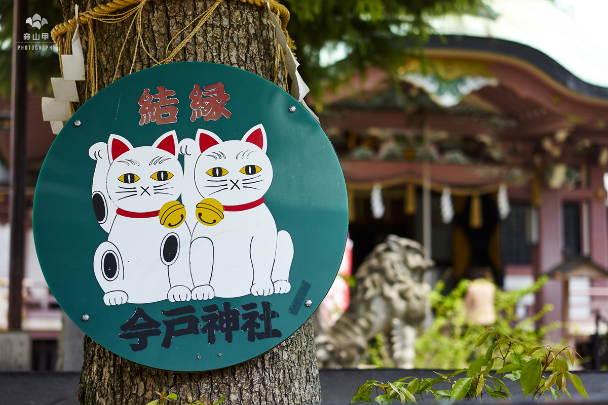 日本今户神社 招财猫的发祥地 最灵验的姻缘神社