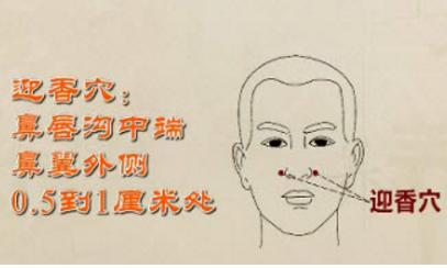 鼻窦积液排出姿势图片