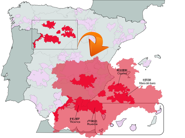 也有人称之为杜罗河谷(duero valley)产区,杜罗河横跨西班牙葡萄牙两