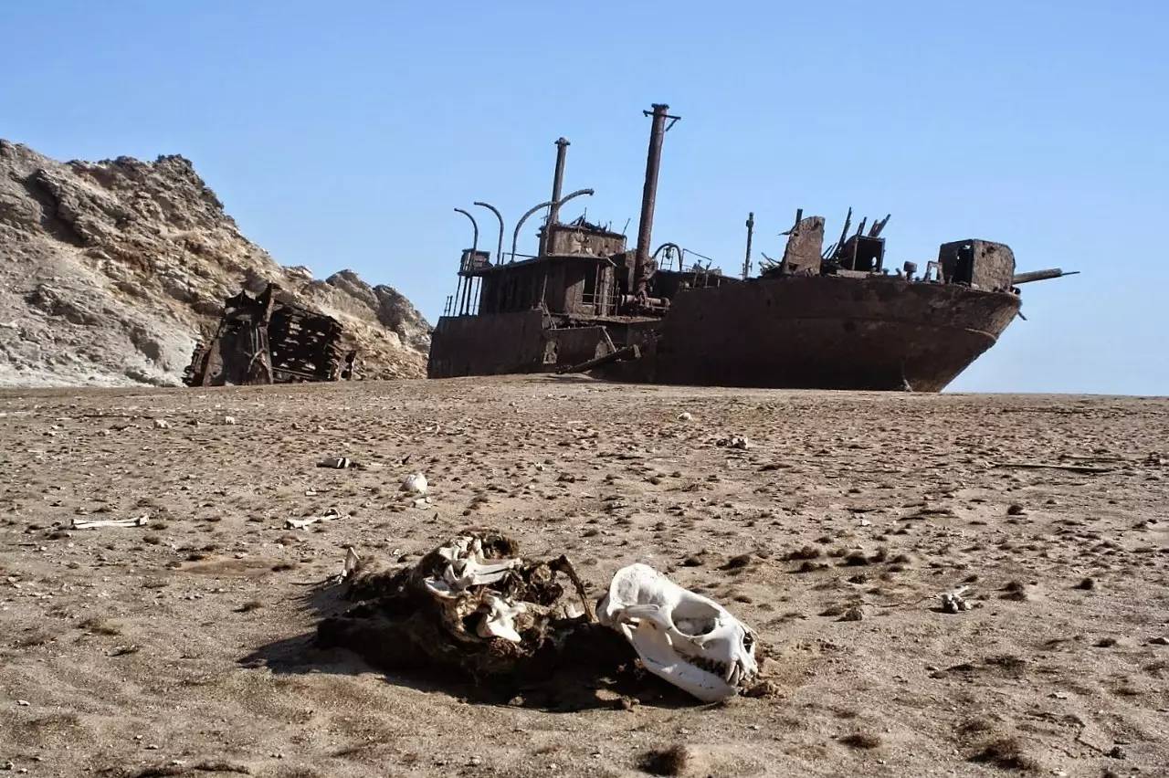 纳米布沙漠沉船位置图片