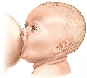 宝宝吃奶照 最美图片