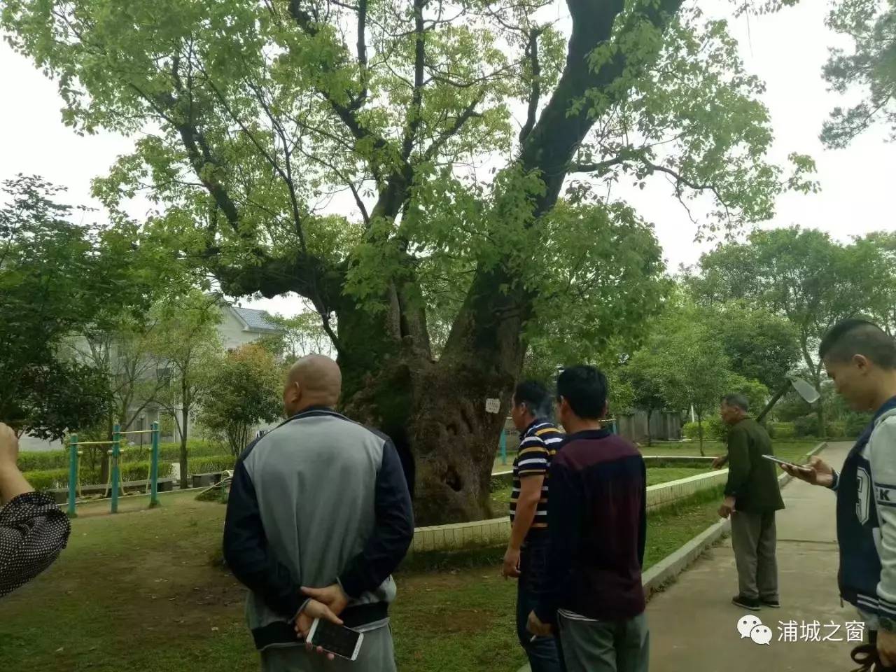 美麗鄉村--石陂鎮布墩村77將關於浦城的原創,改編和突發事件,發送給