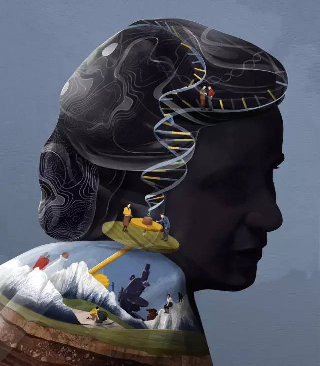 解剖最强大脑看看科学巨匠的脑回路都是怎么长的