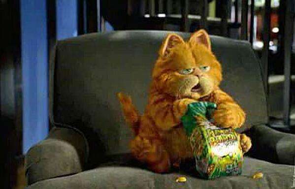 加菲猫吃东西图片