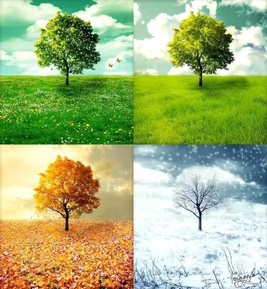 四季合在一起的图片图片