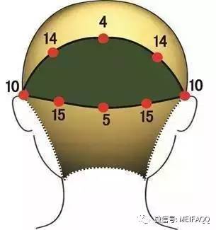 剪发第一步分区的图解要素