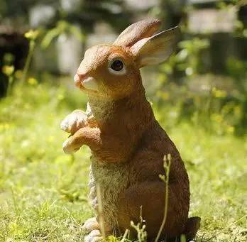 夢幻動物園空降天門,萌動全城!更有每天500張免費門票送不停!