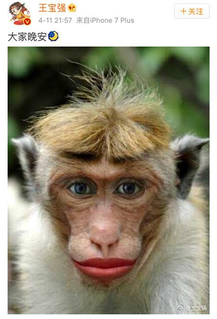 网友纷纷评论:这不是马蓉吗!马蓉跟这猴子一样丑!