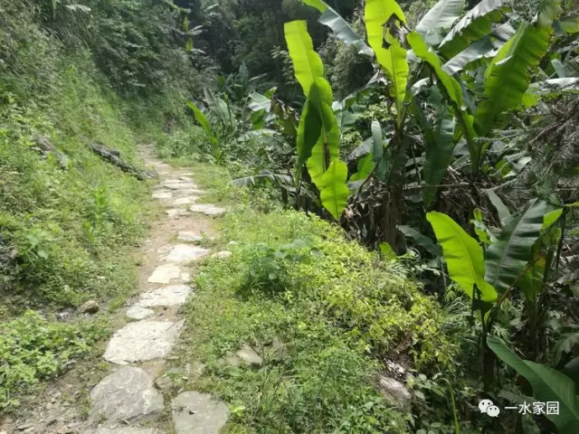 风景这边独好重走罗溪湘黔古道掠影