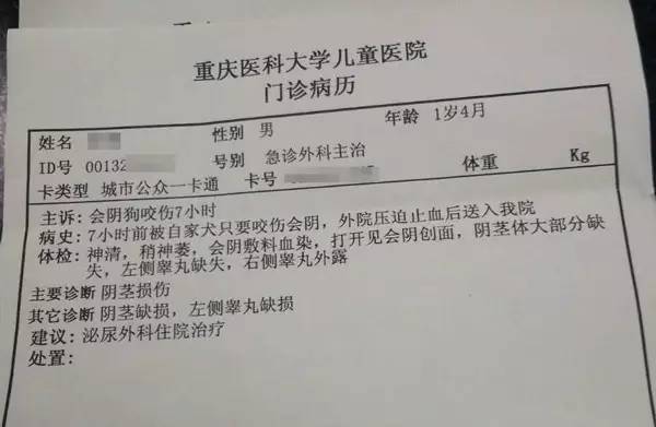 1岁男童一辈子的性福,就这么被自家狗咬掉了!