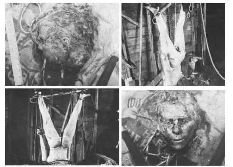艾德·盖恩的人皮作品图片