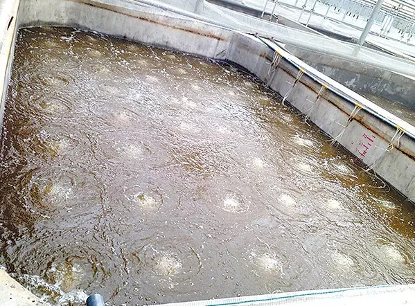 养虾水泥池排污设计图片