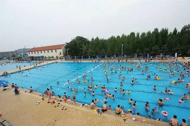 郑州鼎红游泳馆图片