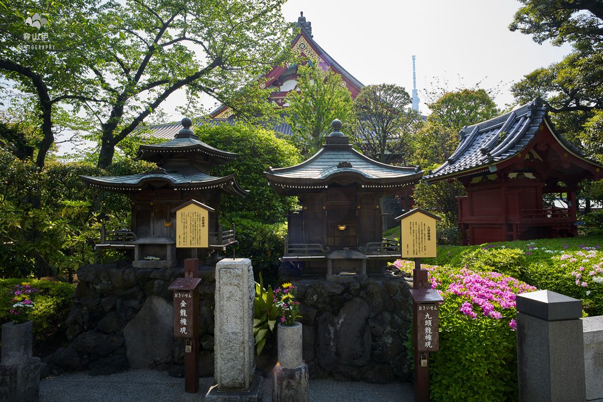 浅草寺,日本东京都历史最悠久的寺庙