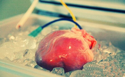 心脏移植都成功了为什么无法治愈硬皮病