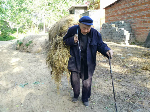 95岁孤寡老人遭受养子弃养,晚年生活凄凉孤苦无依