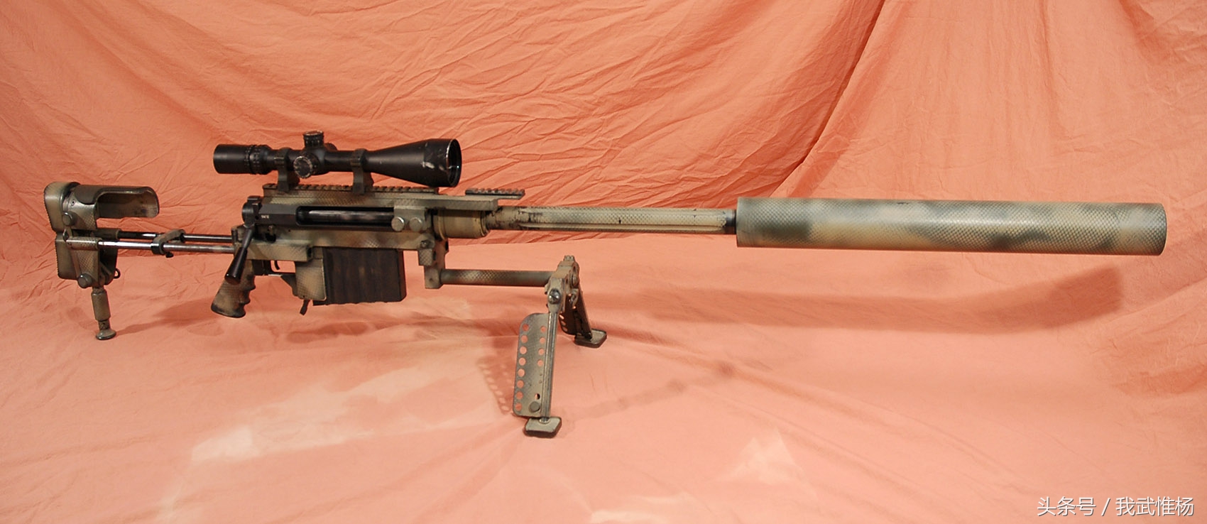 m96步枪图片