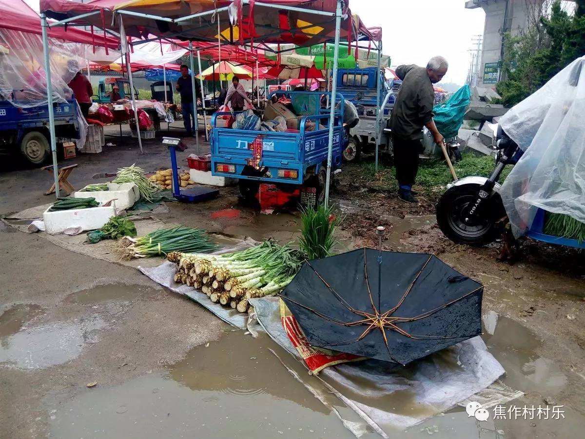 直擊農村小集市上的菜農下雨天是怎麼出攤的,看了心疼