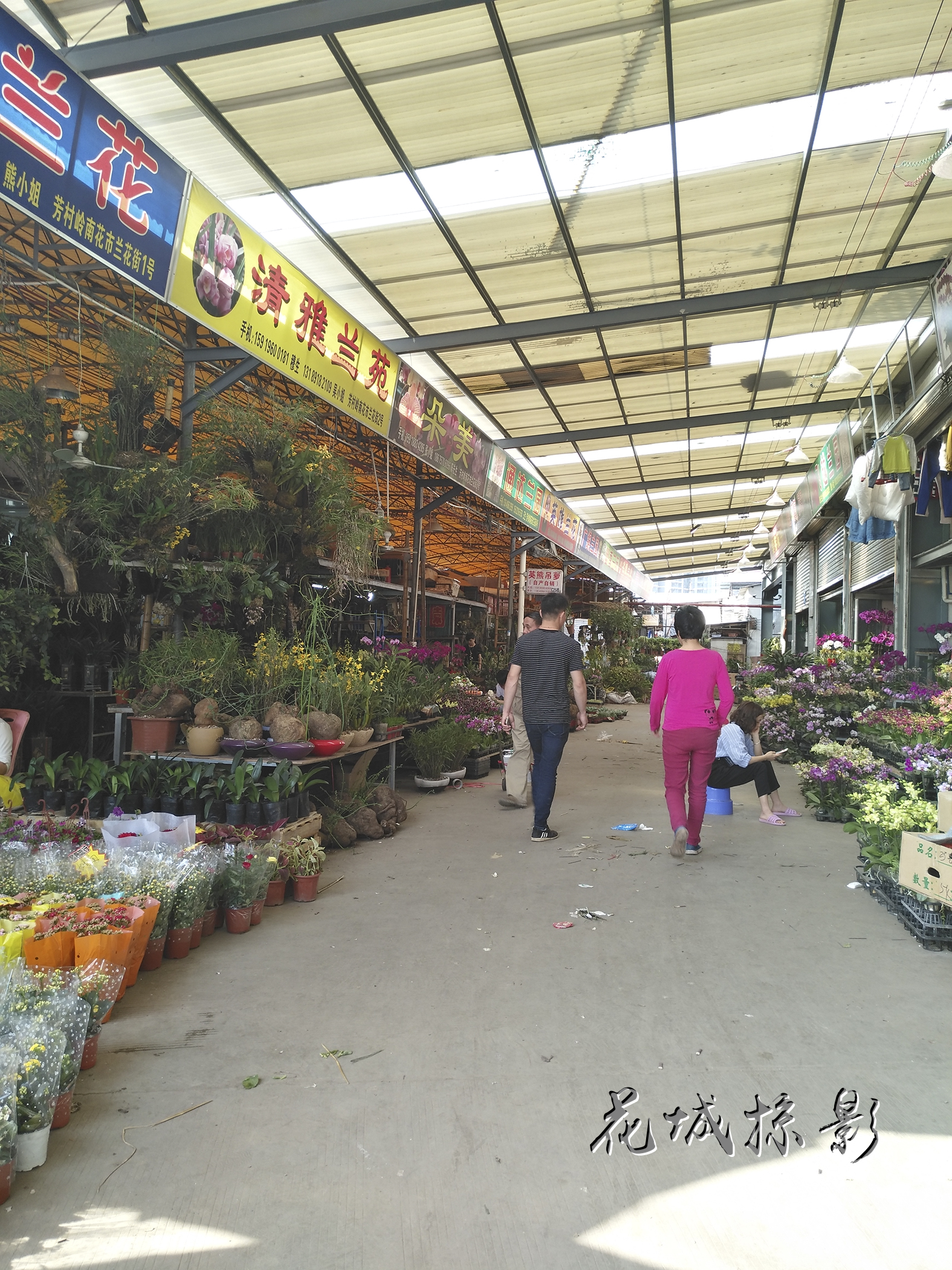 让人收获美丽的地方——广州岭南花卉市场