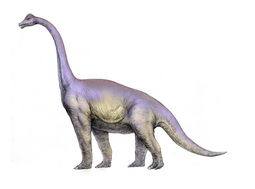 哈哈~腕龙是蜥脚下目的一属恐龙,生活于晚侏罗纪,腕龙是曾经生活在