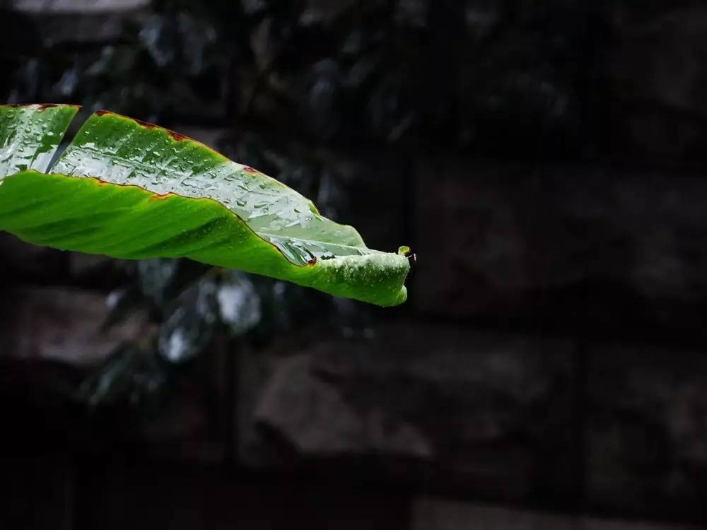 清朗的時節,讓身體也放空一下 | 初夏辟穀靜修招募