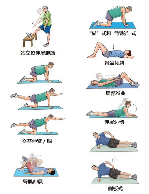 拉伸和锻炼竖脊肌,针对不同原因,调整生活中的姿势,注意保暖,减少腹部
