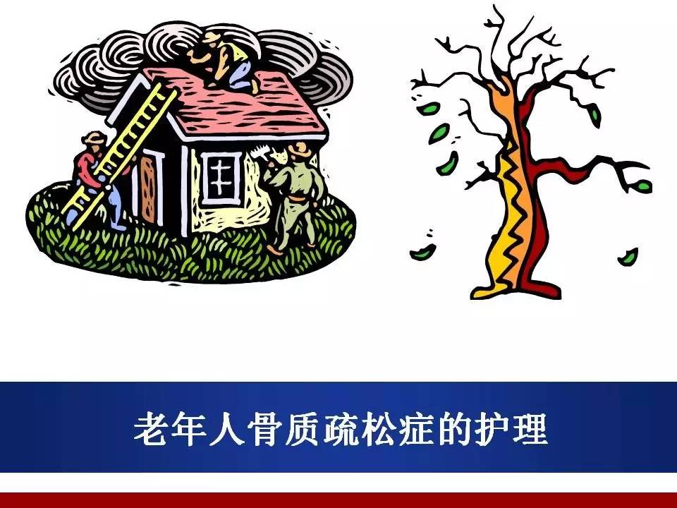 ppt : 老年人骨質疏鬆症護理