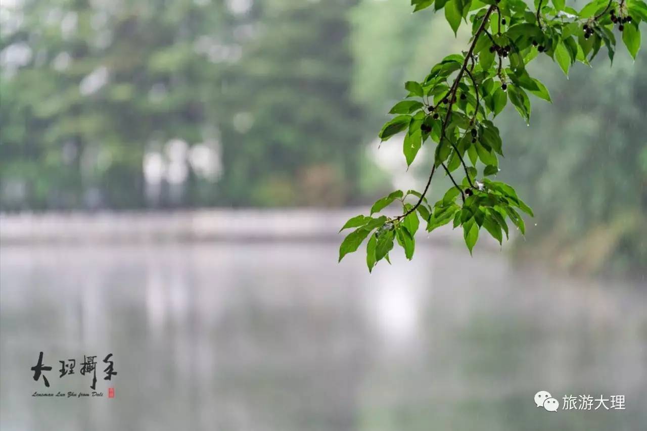 雨天,大理三塔是一幅唯美禪意的水墨畫卷!