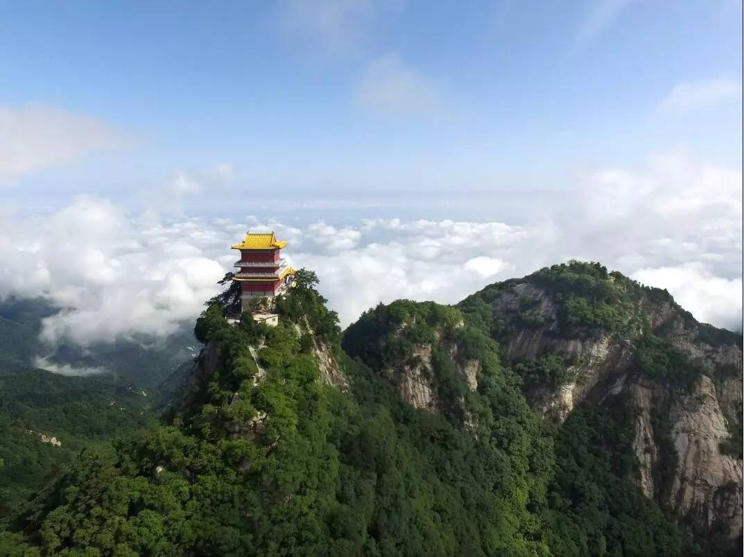 (圖片源自李傑)太平國家森林公園以