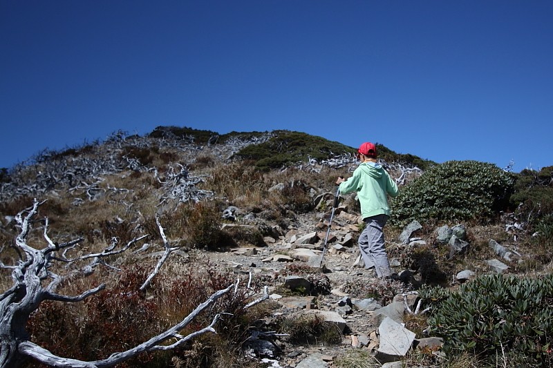 登山人一生必走的台湾top10绝美高山